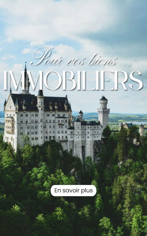 Un drone pour valoriser votre bien immobilier
